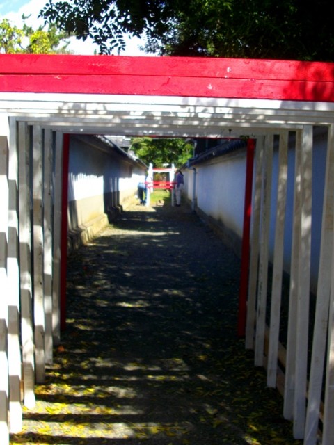 施美時間 5日目。