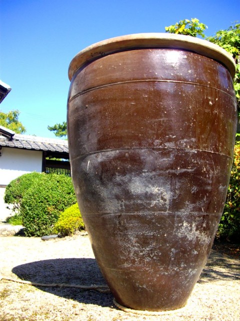 施美時間 7日目。