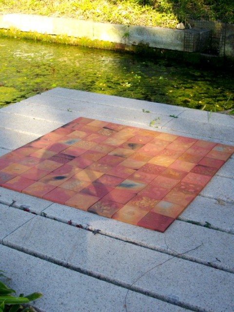 施美時間 9日目。