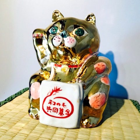 ネコの毛共同募金