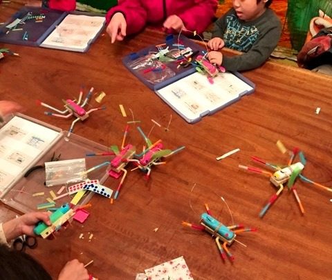 「動く昆虫」　2日目。