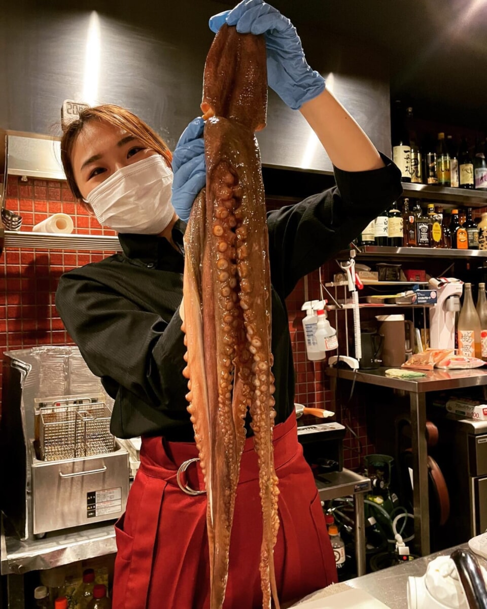 タコです2キロ超えの極太マッチョタコさんこちらは★茶美豚と明石ダコのそばめしに使用しますあ、立派な足なので売り切れ御免でタコの唐揚げも用意しまーす♪数はさほどご用意できないのでご連絡いただけたら取り置きさせていただきます#タコ#明石タコ #そばめし#タコ釣り#加古川市#東加古川駅#加古川グルメ#お好み焼き#鉄板バル#origami#日本酒#スパークリング#ワイン#アサヒスーパードライ#生ビール#樽生の匠#ランチ#加古川ランチ#日替わり#テイクアウト#食事会#お弁当#お好み焼き好きな人と繋がりたい#釣り好きな人とつながりたい#兵庫#守成クラブ#加古川商工会議所 - Instagram投稿